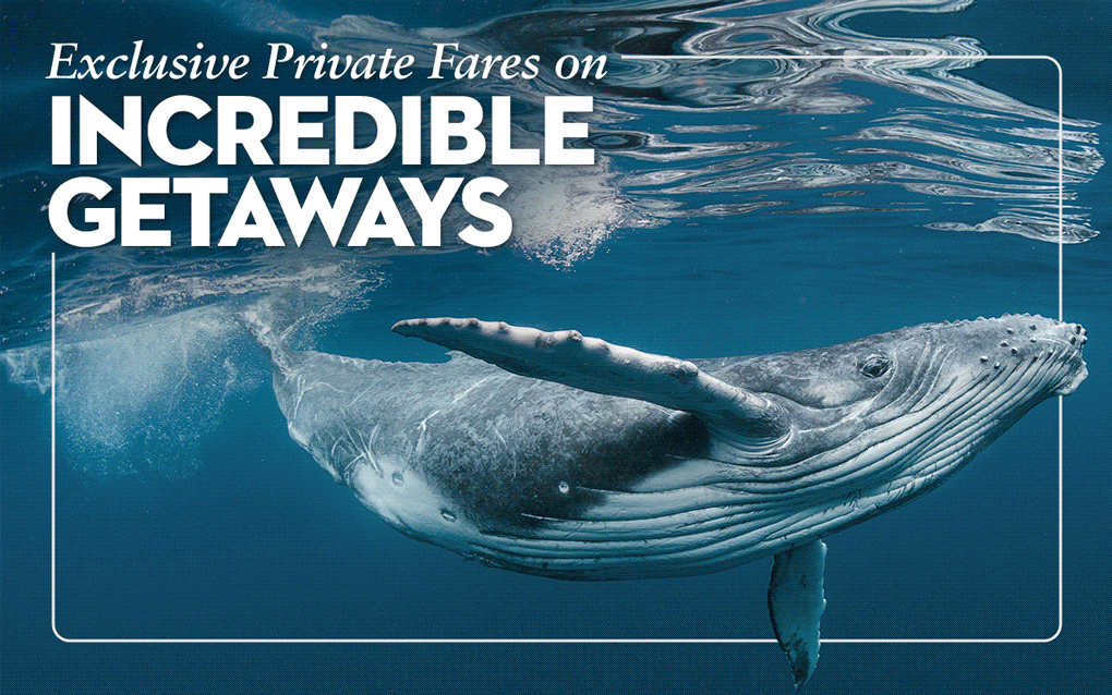 Exclusive Private Fares on Incredible Getaways