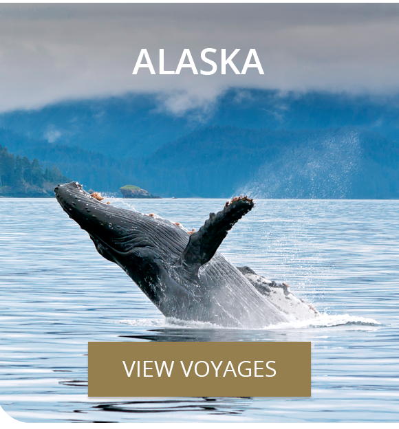 Alaska                                                        Voyages