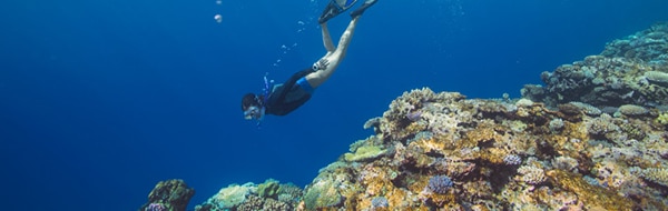 Woman                                                        snorkeling in the                                                        South Pacific