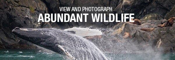 View and Photograph Abundant                                      Wildlife