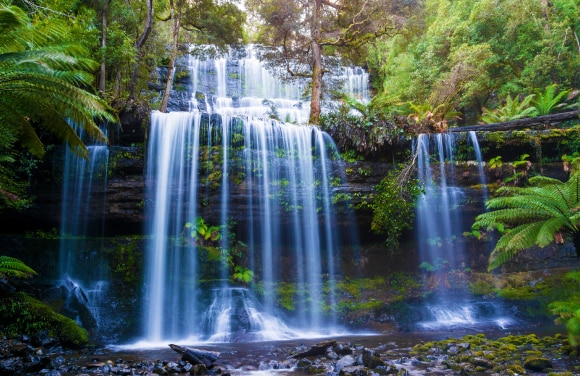 Australia & New Zealand