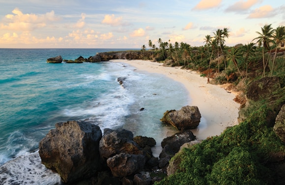 Caribbean